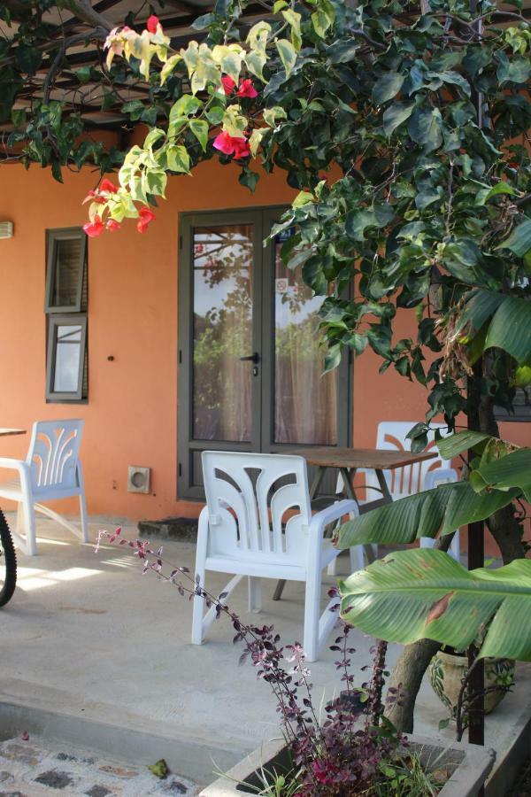 Gite Des Acacias Union Vale Экстерьер фото