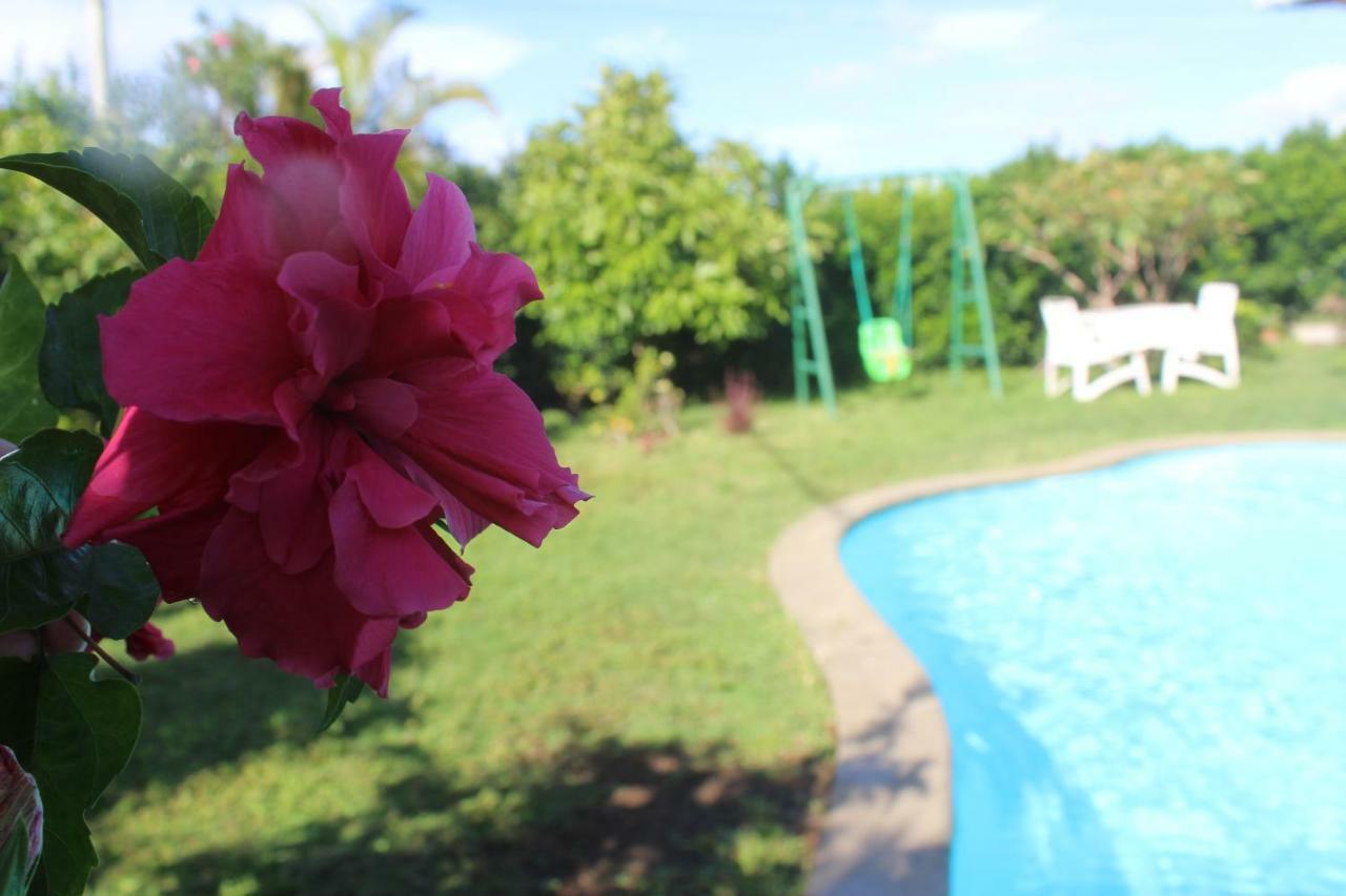 Gite Des Acacias Union Vale Экстерьер фото