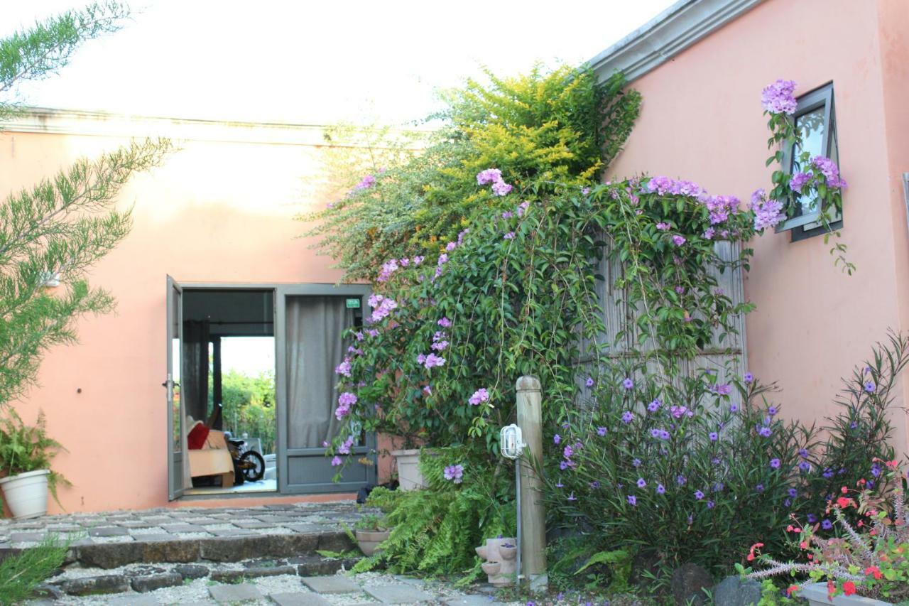 Gite Des Acacias Union Vale Экстерьер фото