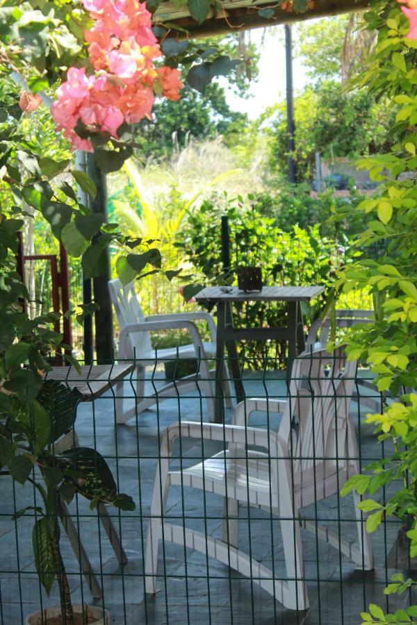 Gite Des Acacias Union Vale Экстерьер фото